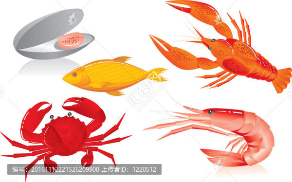 海鮮：牡蠣；蝦；蝦；蟹和魚