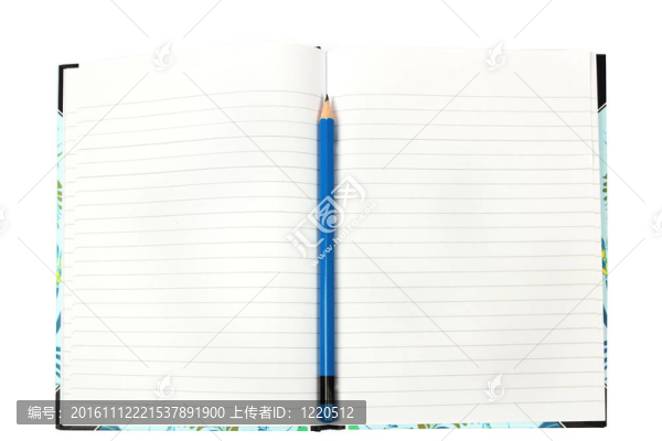 書中央的一支藍(lán)色鉛筆