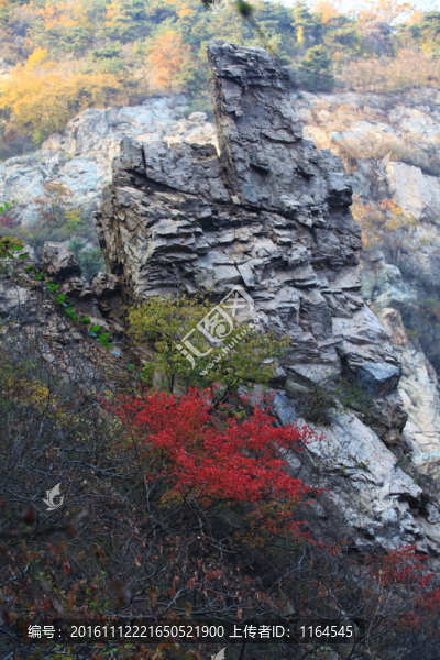 九仙山層林盡染紅葉爛漫