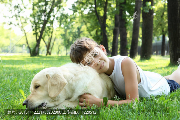 在公園里的小男孩帶著一只狗