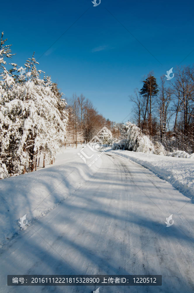 鏟過雪的道路