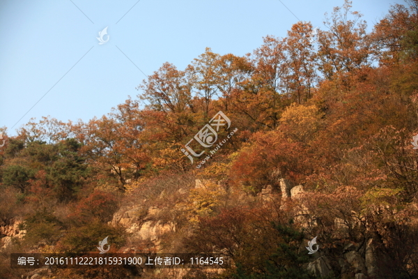 九仙山層林盡染紅葉爛漫
