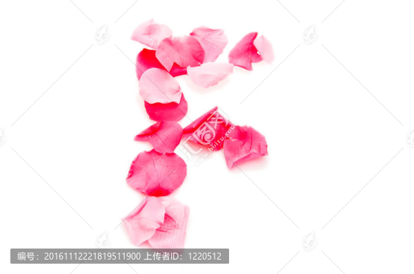 粉紅花瓣字母大寫字母