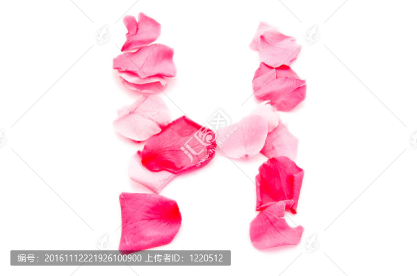 粉紅花瓣字母大寫字母
