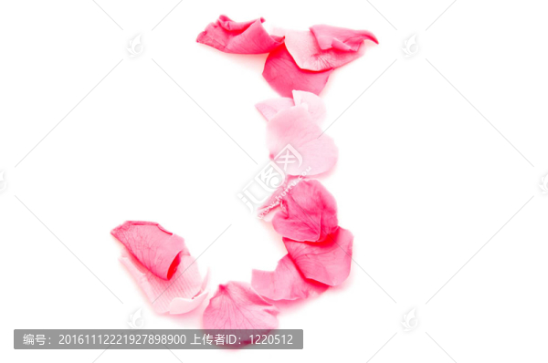 粉紅花瓣字母-首都J