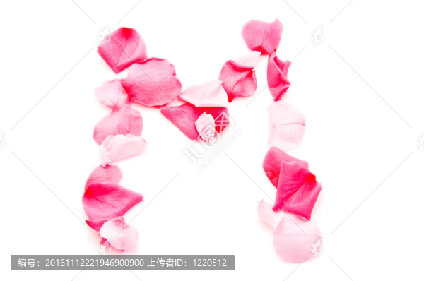 粉紅花瓣字母-大寫字母