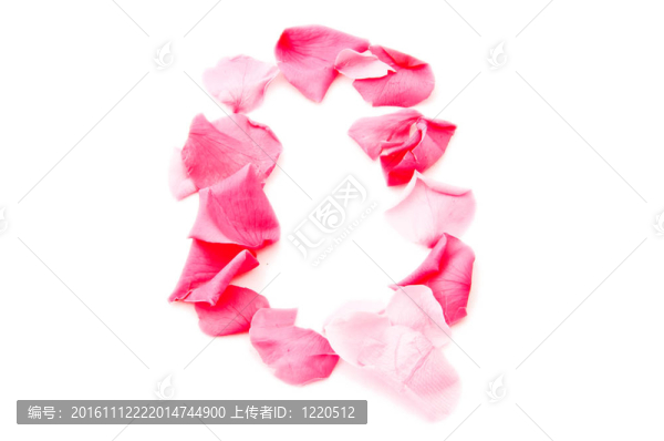 粉紅花瓣字母-資本Q