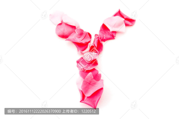 粉紅花瓣字母-大寫字母