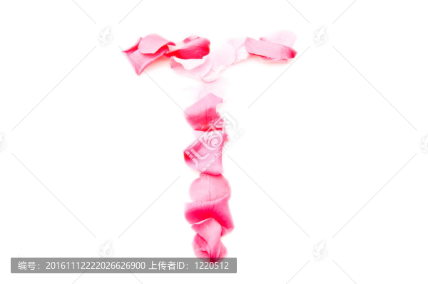 粉紅花瓣字母大寫字母
