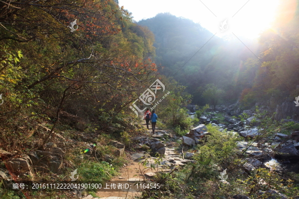 九仙山層林盡染紅葉爛漫