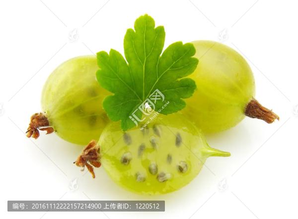 醋栗與葉子
