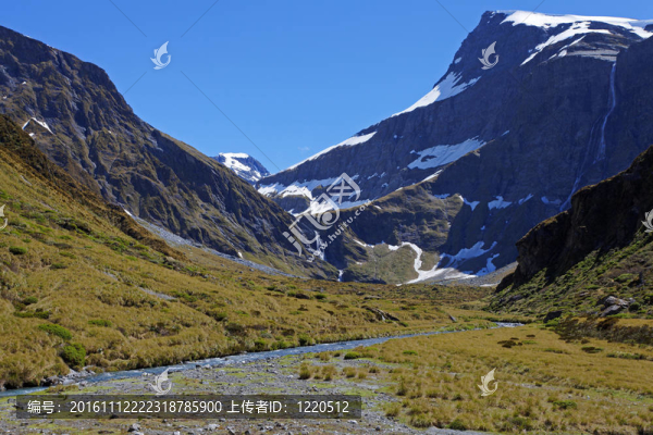 山的春天-匯圖網(wǎng) www.fosd68.com 山的春天