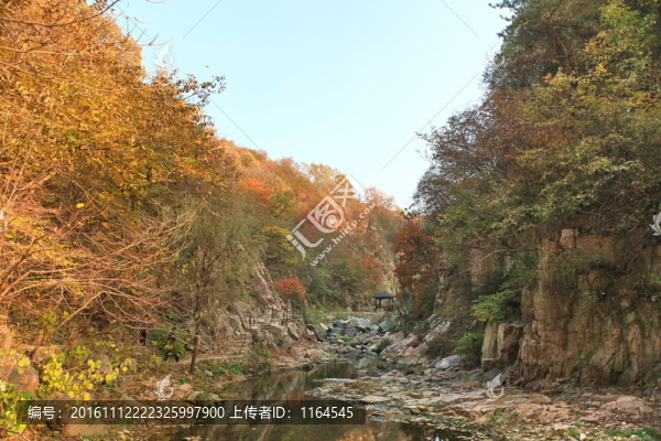 九仙山層林盡染紅葉爛漫