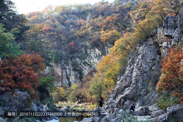 九仙山層林盡染紅葉爛漫