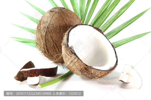 椰子