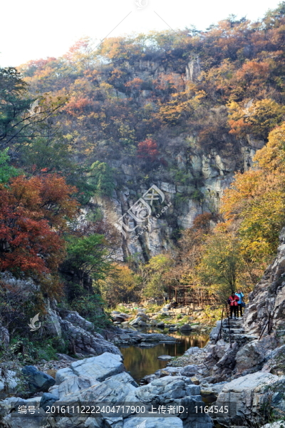 九仙山層林盡染紅葉爛漫