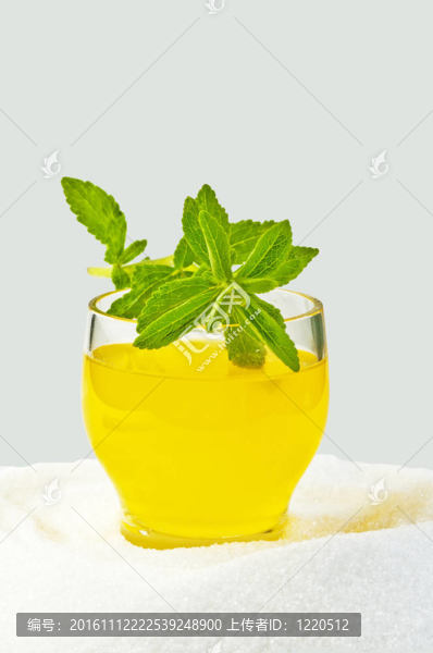 甜菊糖；支持
