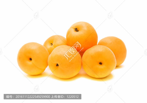 成熟的杏子在白色背景