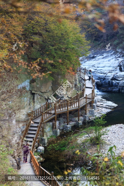 九仙山層林盡染紅葉爛漫