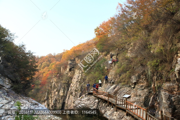 九仙山層林盡染紅葉爛漫