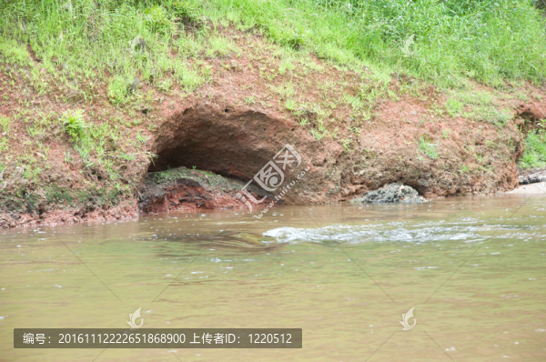 森林和河流