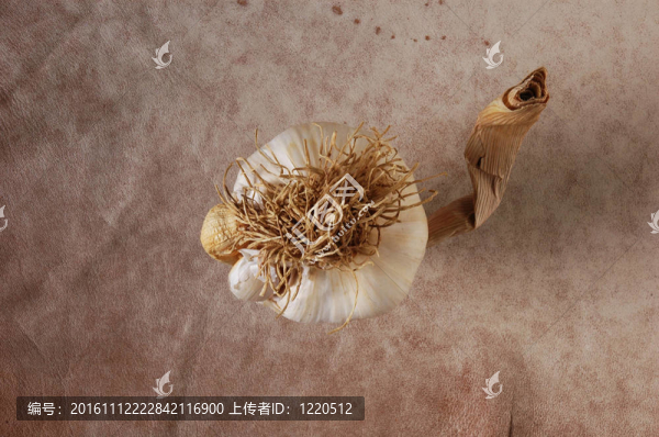 大蒜