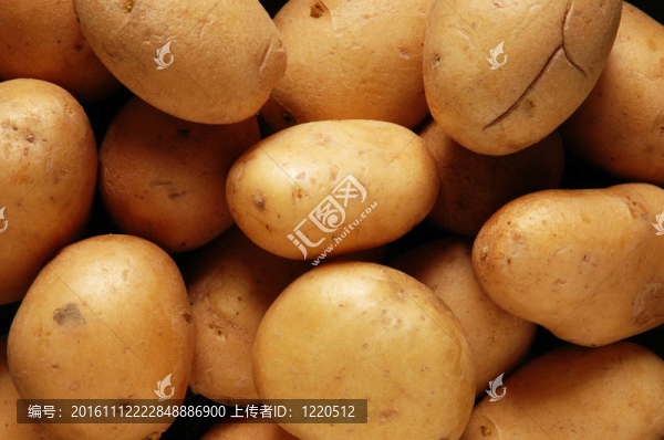土豆