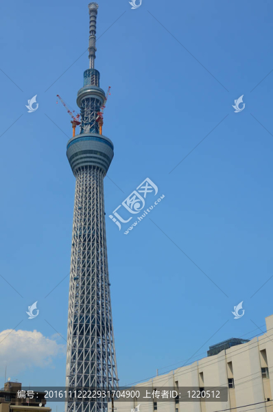 天空樹