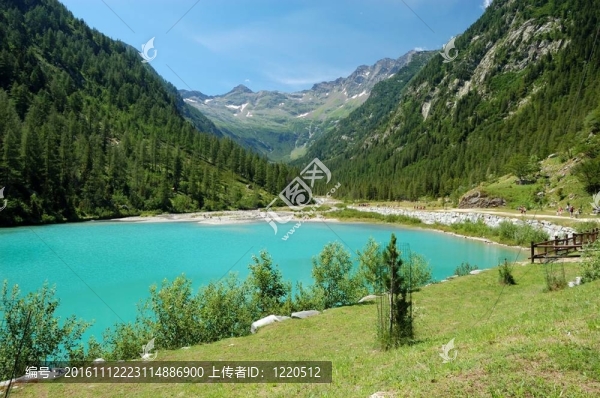 夏季高山湖泊景觀