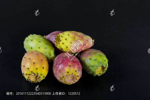 多刺的梨樹