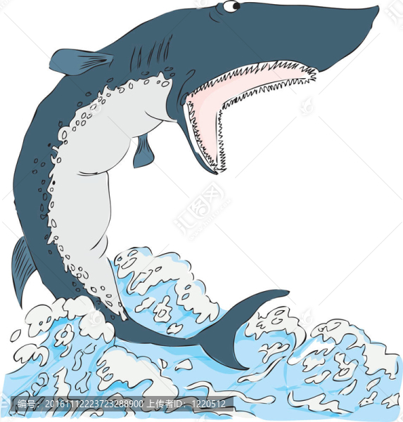 鯊魚