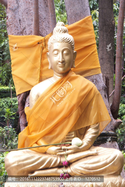 樹下的如來佛祖