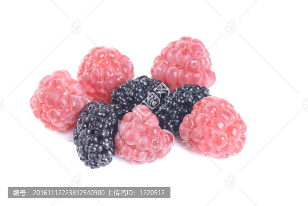 在工作室拍攝的白色背景的覆盆子和桑椹。