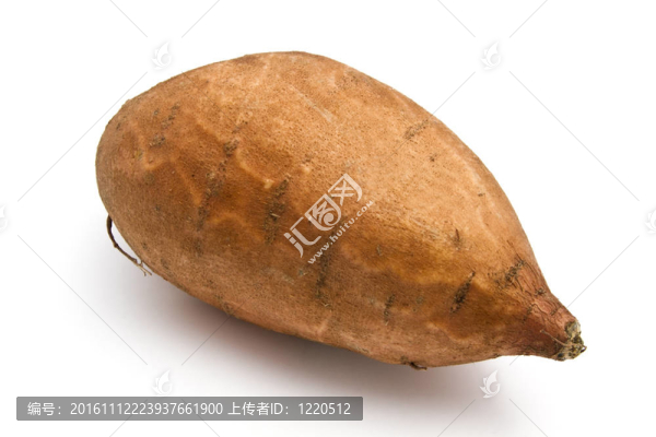 甘薯