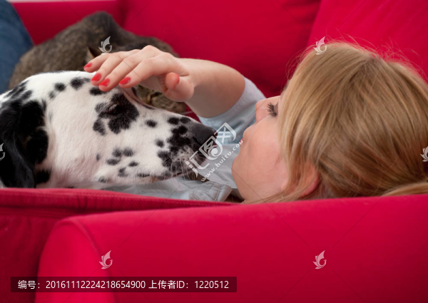躺在紅色的沙發(fā)上的年輕女子大麥町犬