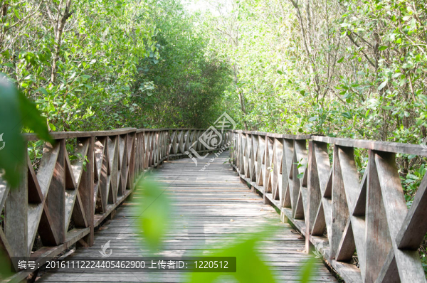 走的路-匯圖網(wǎng) www.fosd68.com 走的路