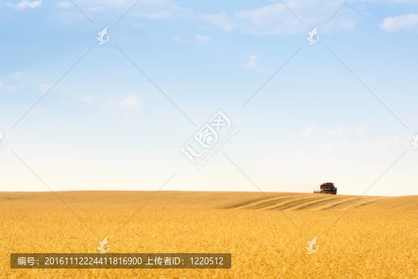 谷物聯(lián)合收割機(jī)