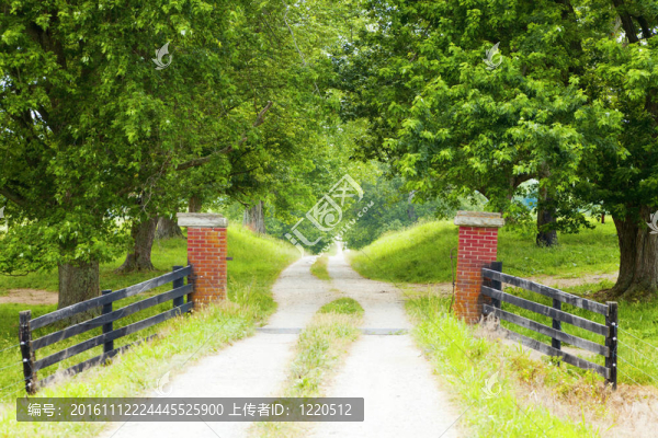 鄉(xiāng)村路