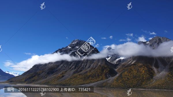 云霧滿山飄