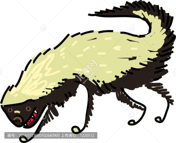 蜜獾