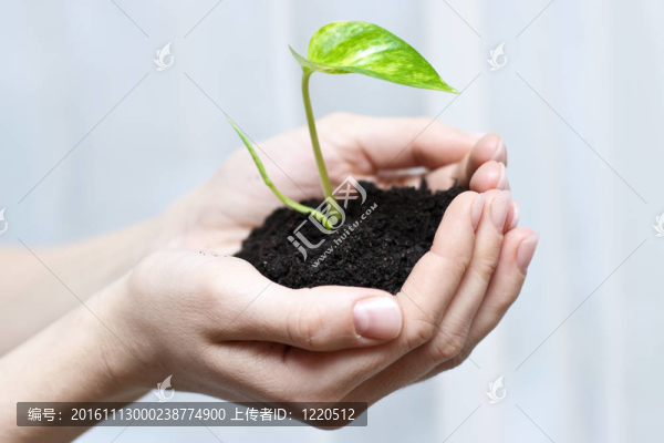 抱著小植物-匯圖網(wǎng) www.fosd68.com 抱著小植物