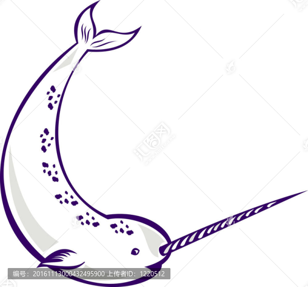 獨(dú)角鯨獨(dú)角鯨獨(dú)角鯨