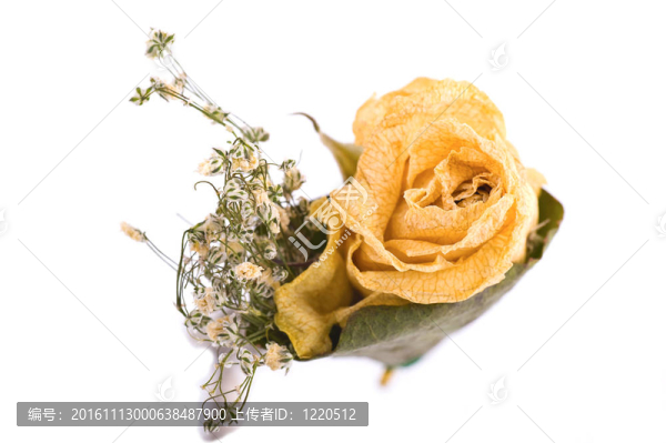 婚禮胸花花束凋零