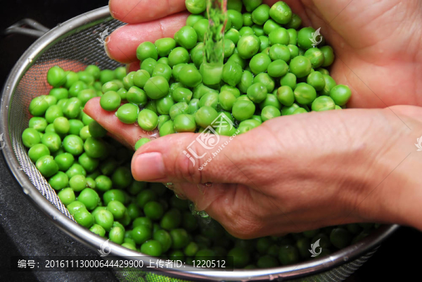 漂綠豌豆