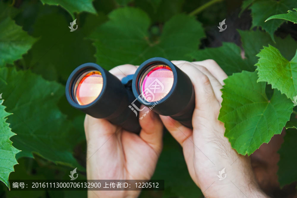 拿著望遠(yuǎn)鏡看