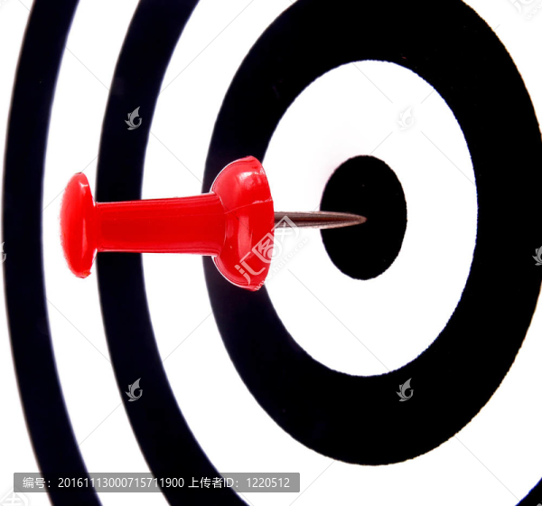 成功的目標(biāo)