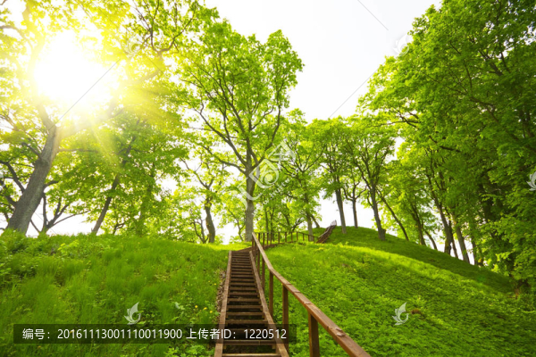 向山上爬；夏天