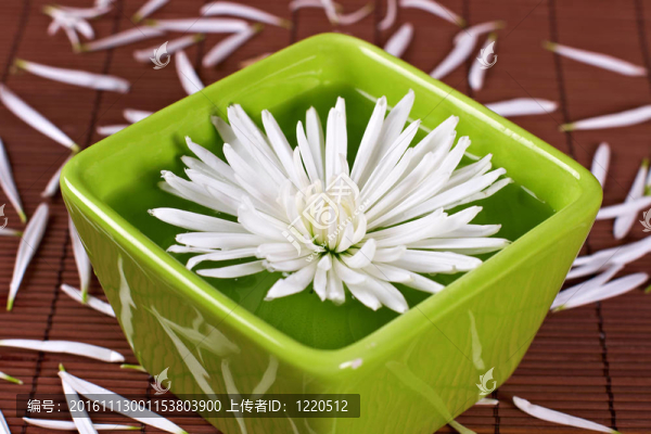 芳香的花朵