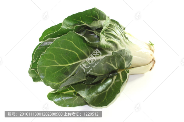 甜菜