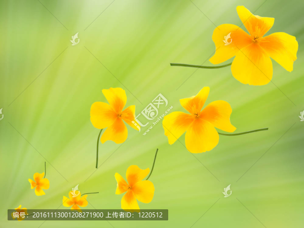 花